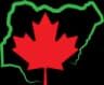 Nigerians.ca logo